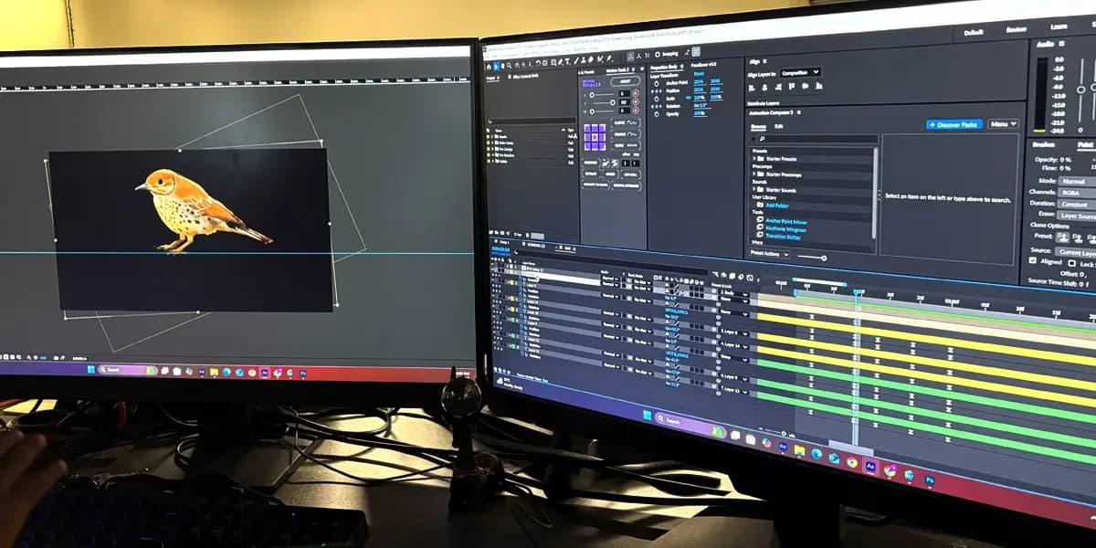 Animation Motion Graphics & Infographics